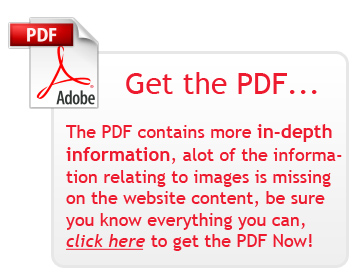 Find out more, get the PDF Now!